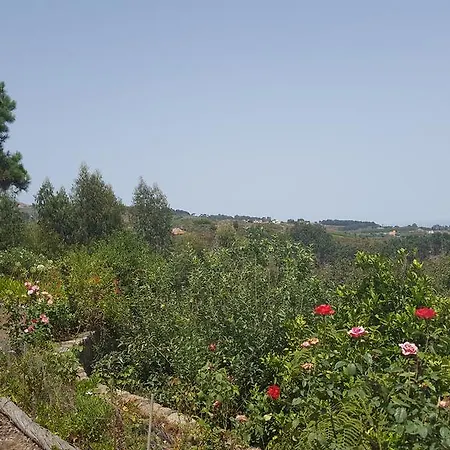 Nyaraló Casa Rural Moya *